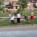 parkta-dolastirilan-kopege-saldiran-basibos-kopek-doktor-tarafindan-etkisiz-hale-getirildi-rkDdzFg5.jpg