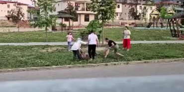 parkta-dolastirilan-kopege-saldiran-basibos-kopek-doktor-tarafindan-etkisiz-hale-getirildi-rkDdzFg5.jpg