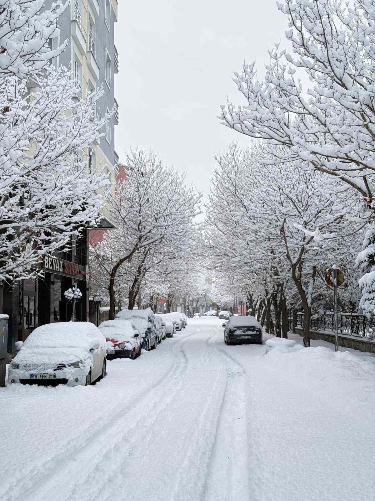 patnosta kar surprizi ilce merkezine 40 cm kar yagdi 4
