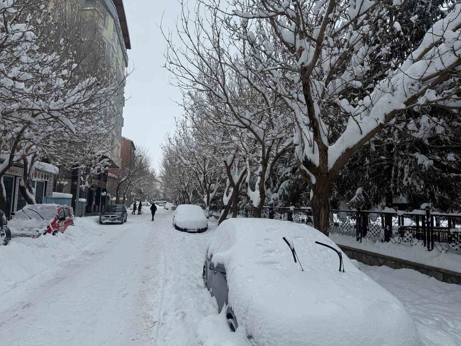 patnosta kar ve dondurucu soguk hayati olumsuz etkiliyor 0 DA26EhYI
