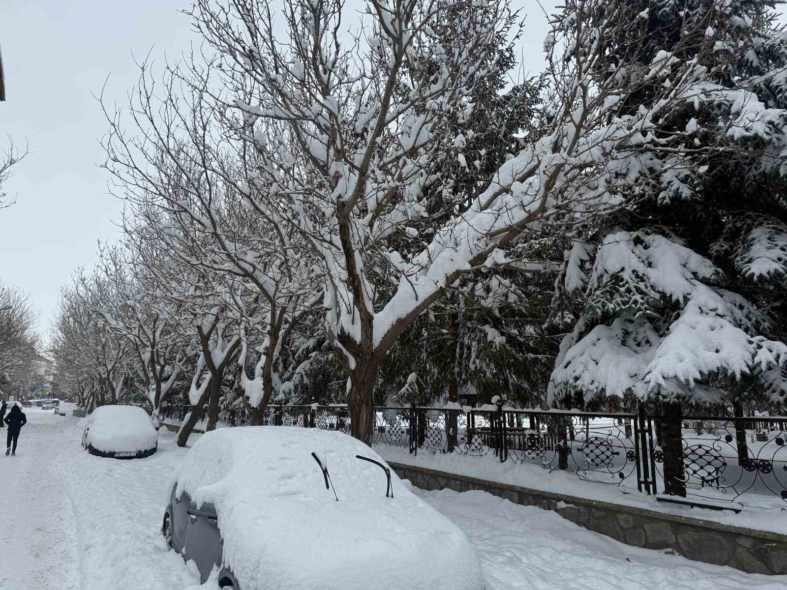 patnosta kar ve dondurucu soguk hayati olumsuz etkiliyor 1 fcep83Bh