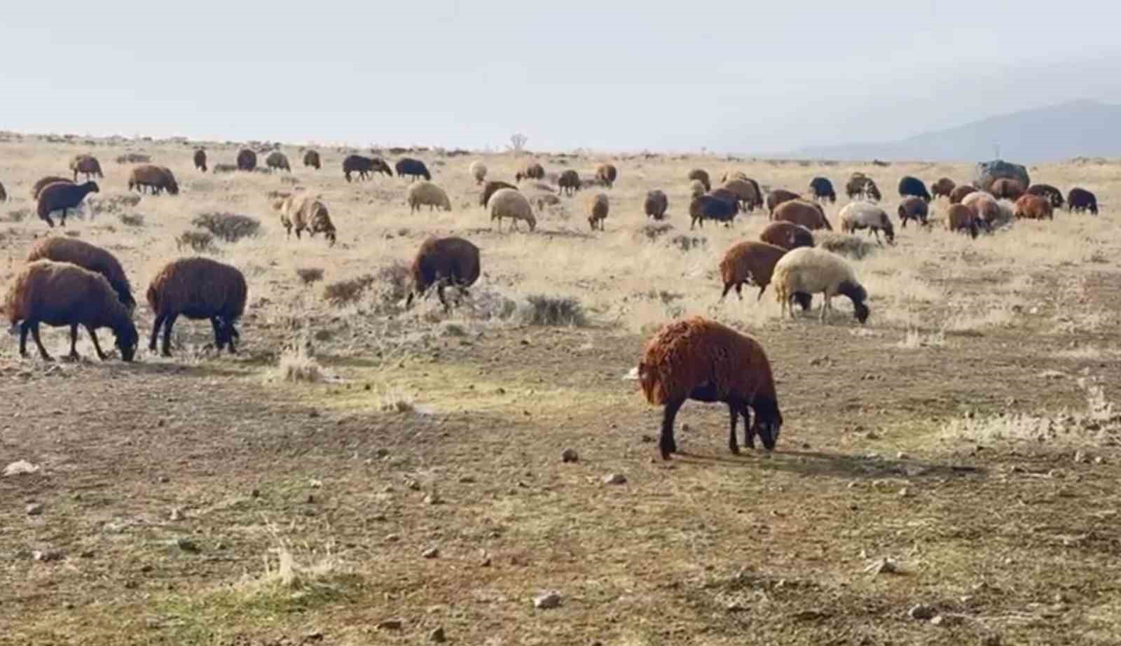 patnosta kar yagmamasi ciftcilerin yuzunu guldurdu 0 PakkiPda