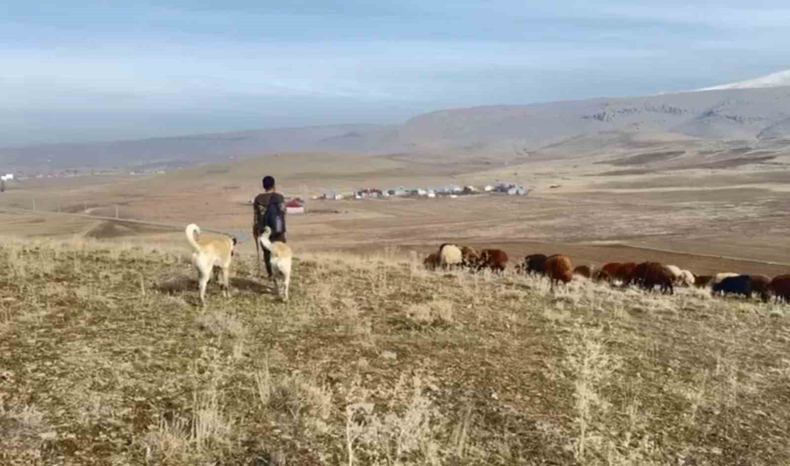 patnosta kar yagmamasi ciftcilerin yuzunu guldurdu 1