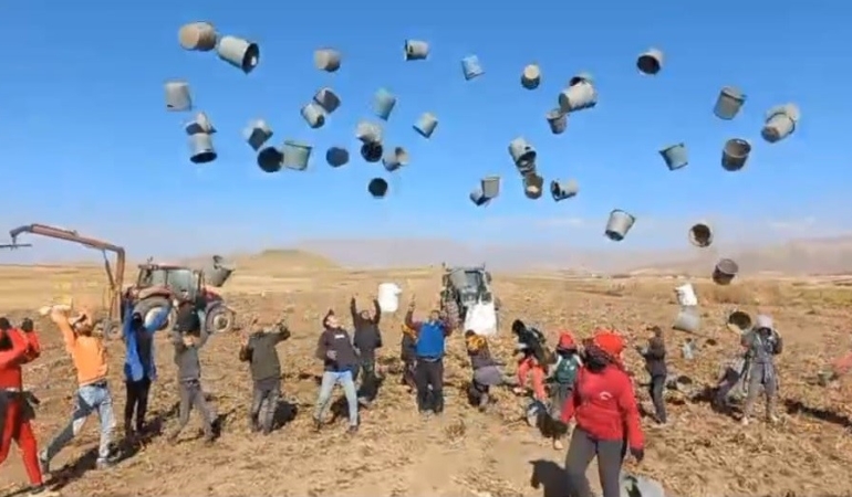 patnosta-patates-hasadi-tamamlandi-500-donum-araziden-bin-650-ton-urun-elde-edildi-njEBgbKA.jpg