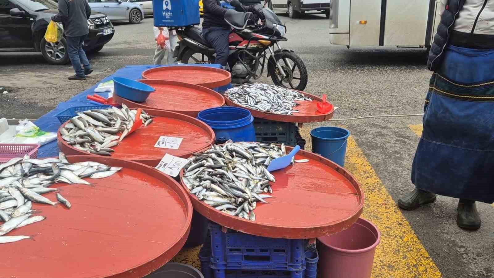Pazarda hamsinin kilosu 200 liraya çıktı 5 pazarda hamsinin kilosu 200 liraya cikti 1 gW42z5Gy