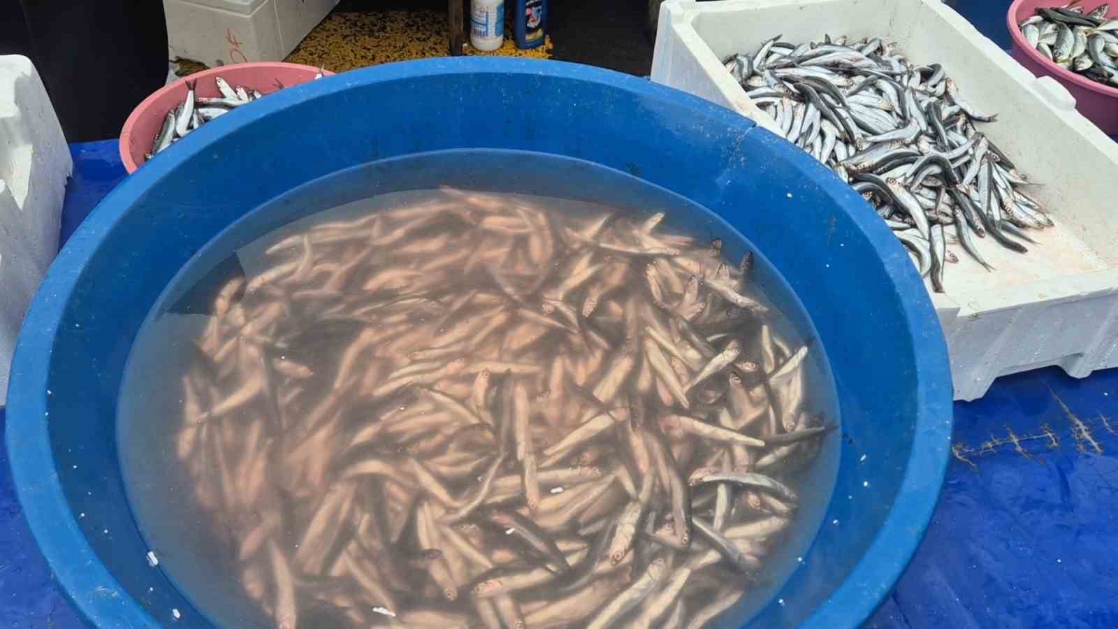 Pazarda hamsinin kilosu 200 liraya çıktı 6 pazarda hamsinin kilosu 200 liraya cikti 2 cgWyytsC