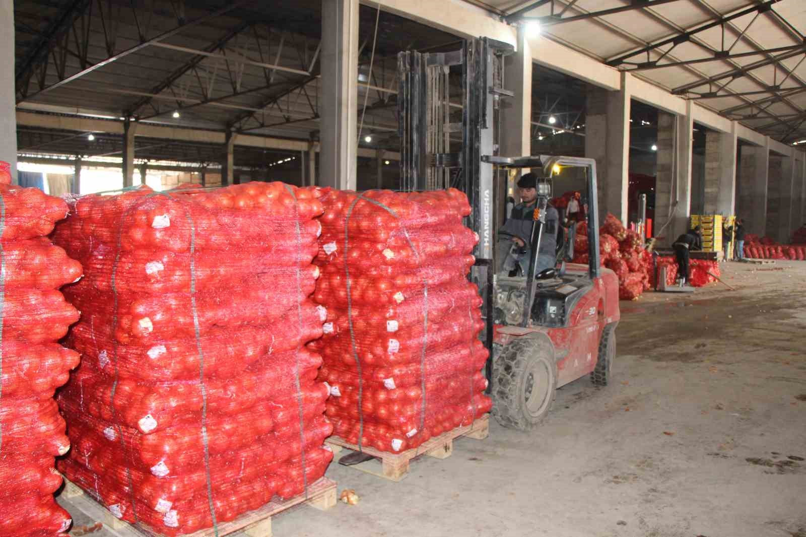 pazarin en ucuzu sogan amasyadan avrupaya gonderiliyor 1 RC7dDmPr