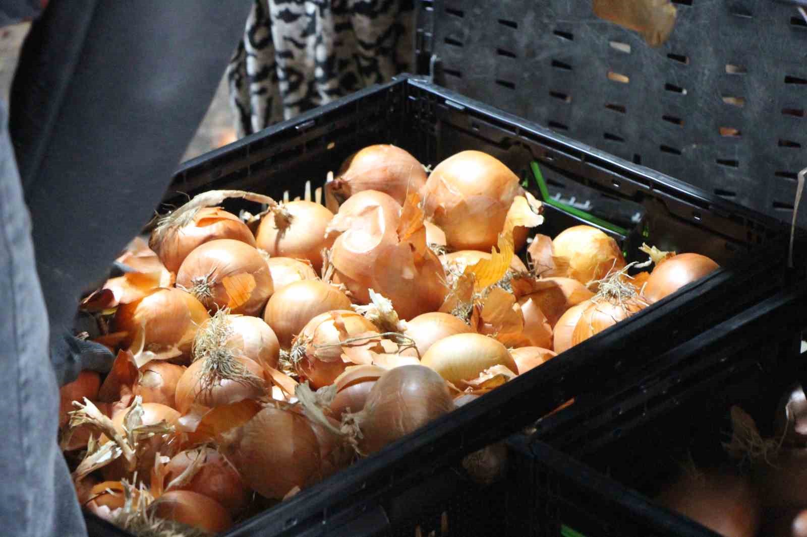 pazarin en ucuzu sogan amasyadan avrupaya gonderiliyor 5 5wacZC61