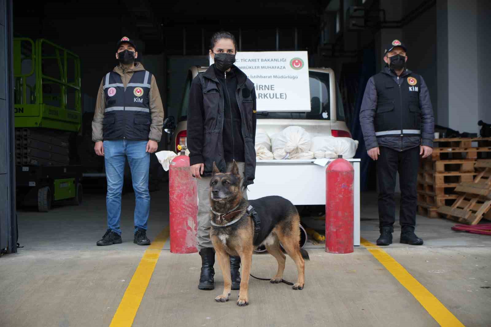 Pazarkule’de LPG tankına gizlenmiş 19 kilo esrar ele geçirildi 9 pazarkulede lpg tankina gizlenmis 19 kilo esrar ele gecirildi 5 W5DwPKDS