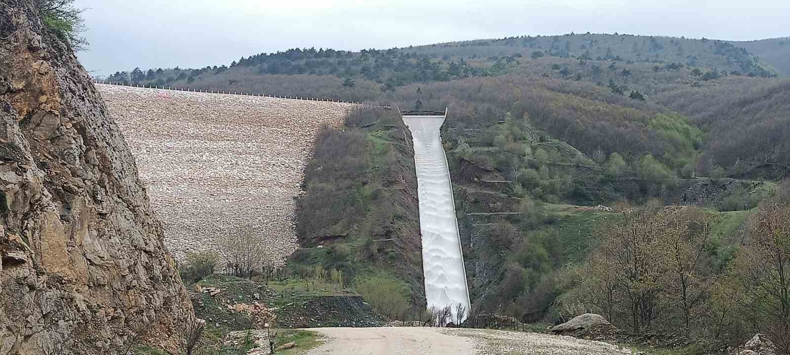 Pazaryeri tarımında altın dönem başlıyor 4 pazaryeri tariminda altin donem basliyor 0