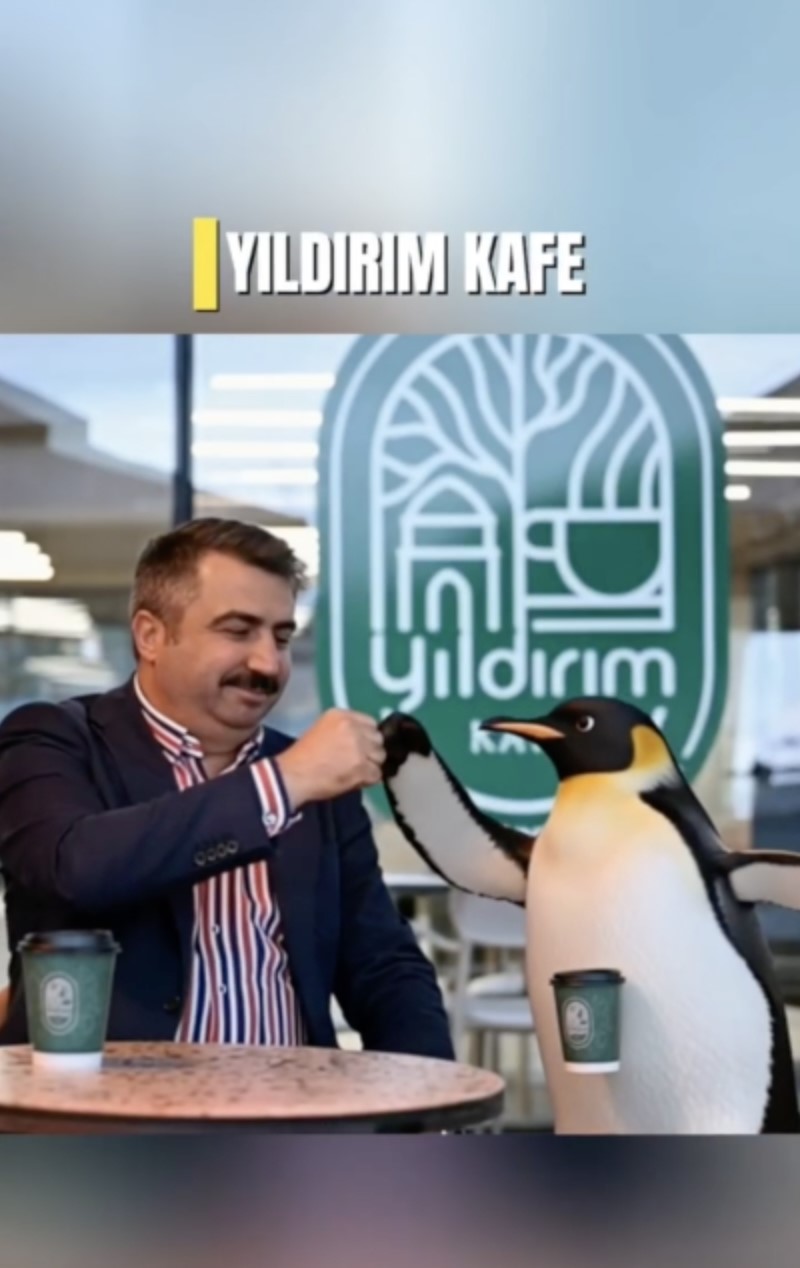 penguen suruden ayrilirken belediyeler bos durmadi 2