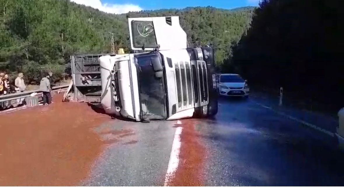 peyzaj malzemesi yuklu tir devrildi 0 MOVOSPw9