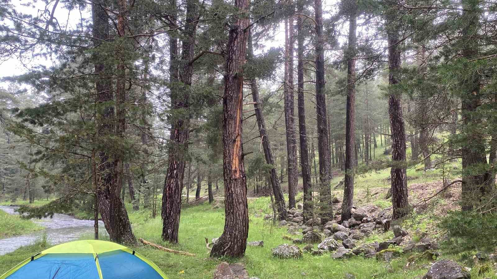 Piknik alanında yıldırım düşmesi sonucu yaralanan 2 kişi Kocaeli’ye sevk edildi 5 piknik alaninda yildirim dusmesi sonucu yaralanan 2 kisi kocaeliye sevk edildi 1 TVYGwVAb