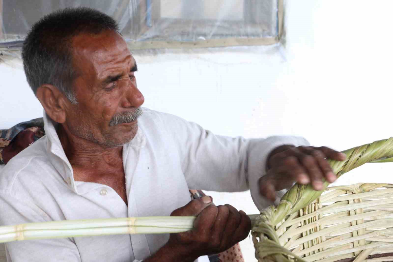 Plastik çıktı, Romanların 100 yıllık sepet geleneği yok olmaya başladı 6 plastik cikti romanlarin 100 yillik sepet gelenegi yok olmaya basladi 2 RdQmyXnF