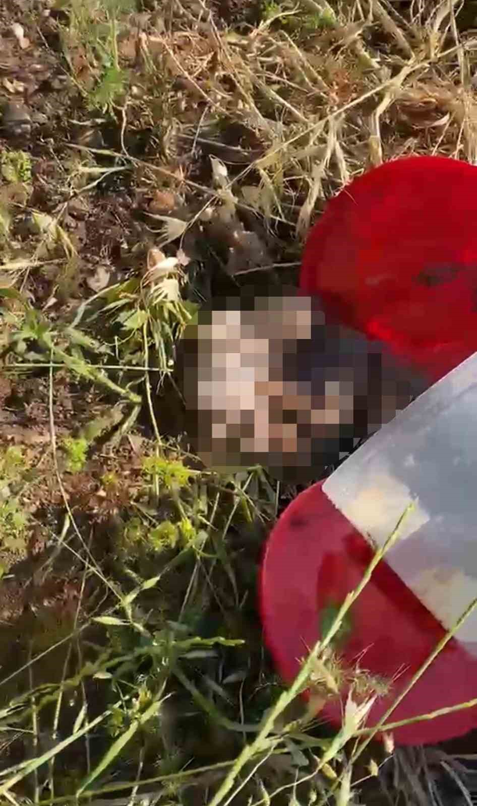 plastik kutularda 21 cenin bulundu 1 gu4GsrMn