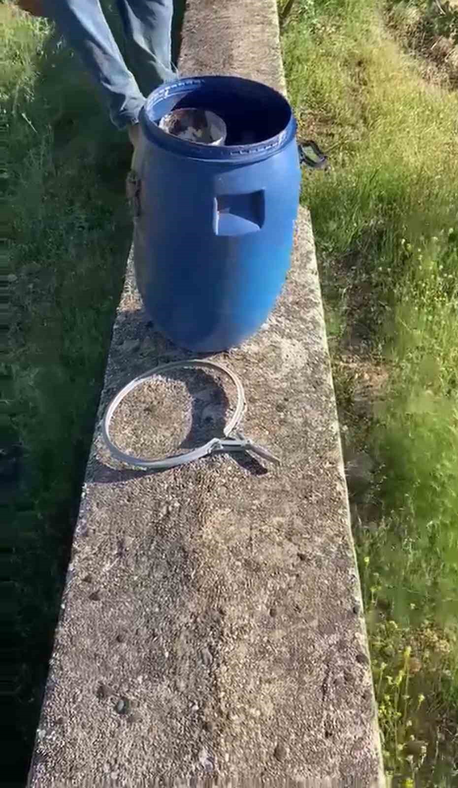 plastik kutularda 21 cenin bulundu 2 YfBnn3cm