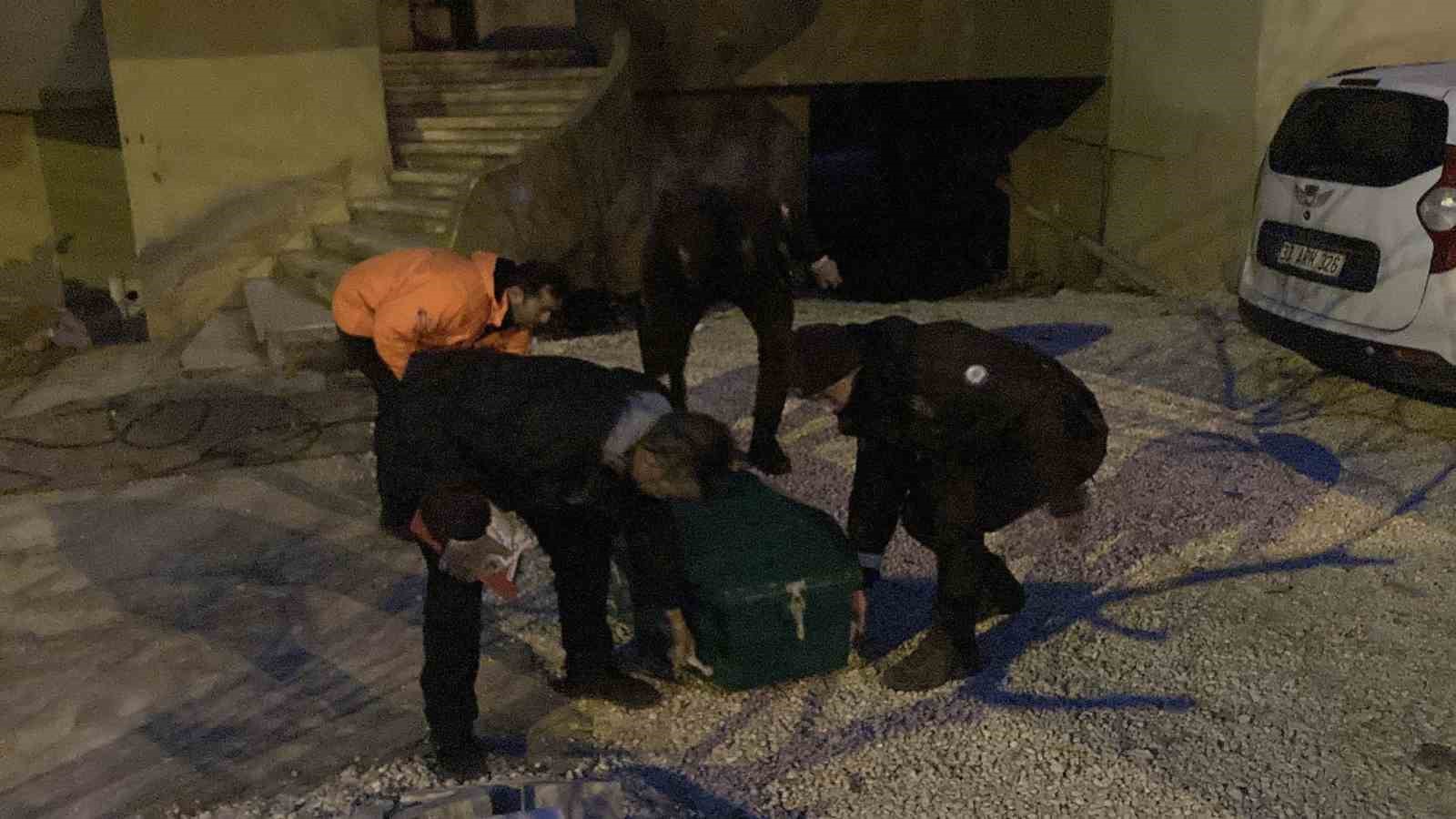 polis kavga ihbarina gitti banyoda cesetle karsilasti 3 gozalti 1 Sfh5Na8n