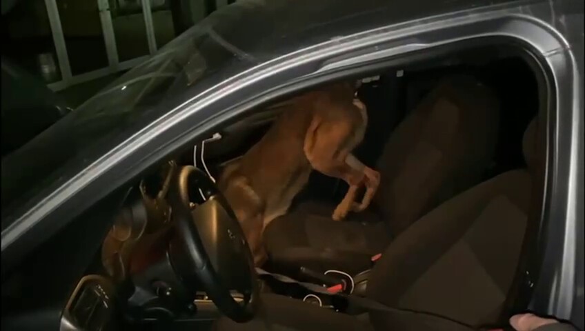 polis uyusturucuya gecit vermiyor 2 ilcede 7 supheli gozaltina alindi 3 sDBkB16r