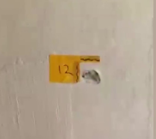 polisiz diyerek eve giren supheliler anne ile oglunu vurdu 0 4L8QhLRO