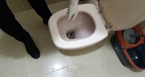 polisten iki ilcede iki ayri uyusturucu operasyonu 5 gozalti 3 sQnpI6Ig