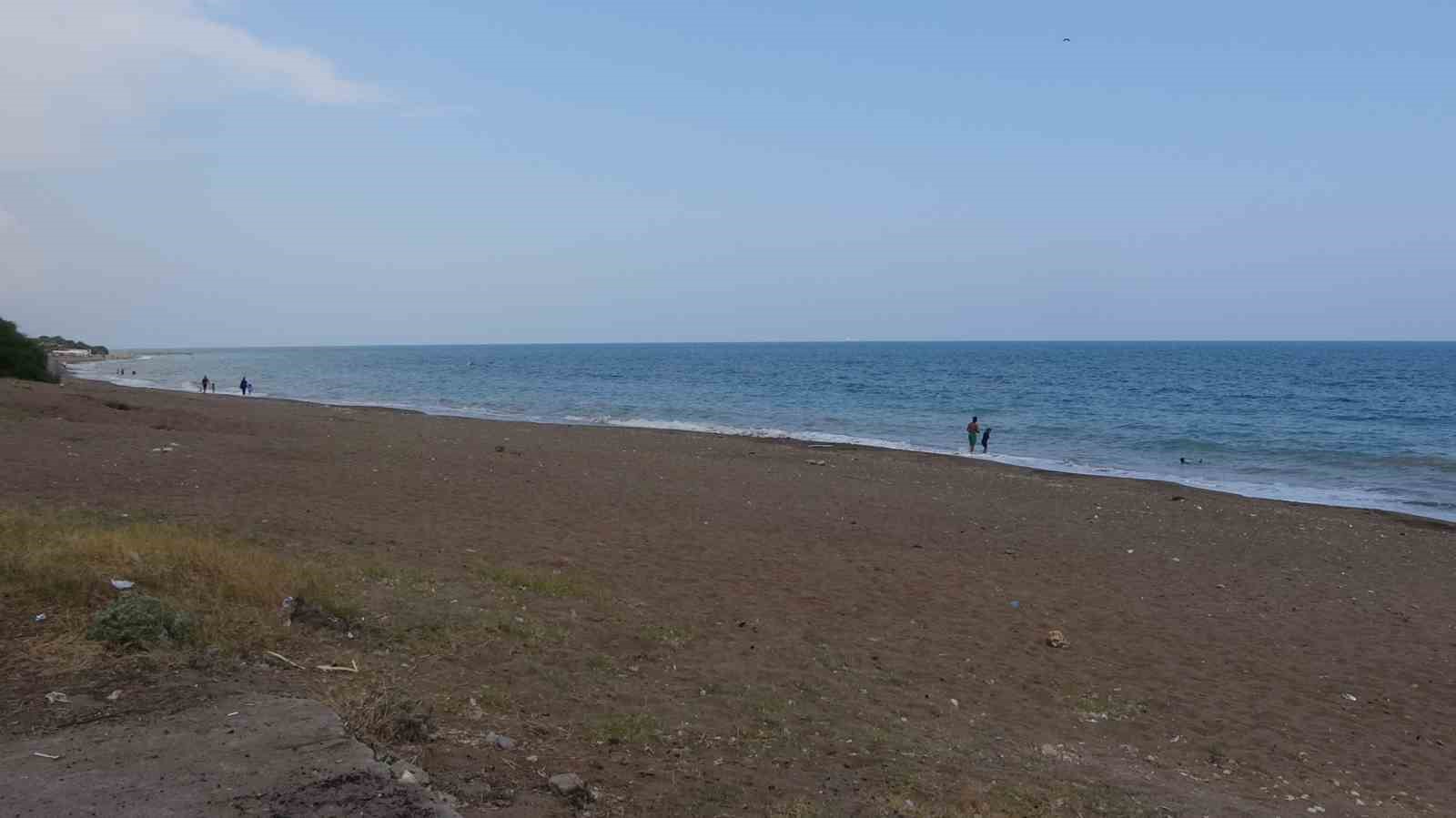 populasyonu artiyor caretta carettalarin yuvalamasi gec basladi yogun suruyor 3 XuPqtIwL