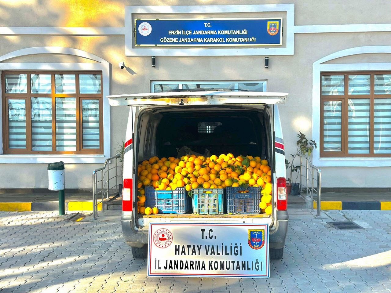 Portakal hırsızları suçüstü yakalandı 5 portakal hirsizlari sucustu yakalandi 1 GgDC91Jt