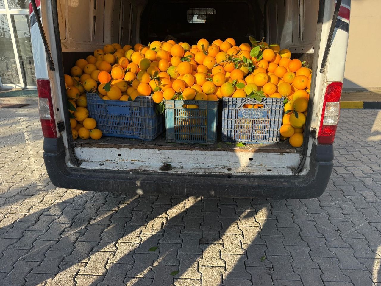 Portakal hırsızları suçüstü yakalandı 7 portakal hirsizlari sucustu yakalandi 3 2pQGyL9W