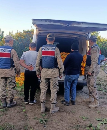 portakal-hirsizlari-sucustu-yakalandi-qGZE5GsA.jpg