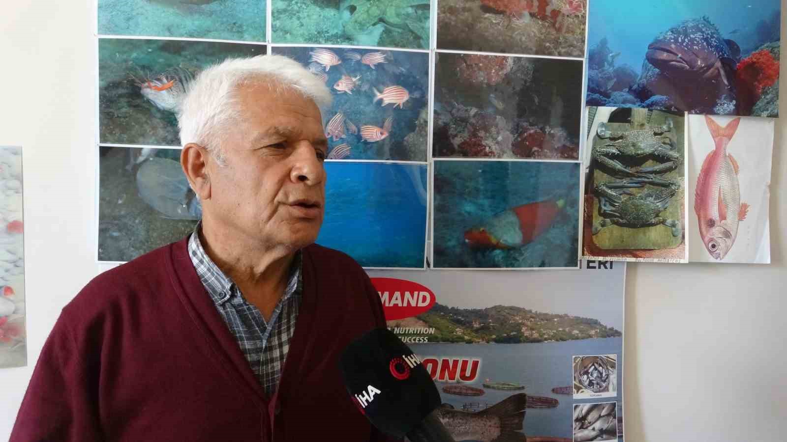Poyraz, Akdeniz’deki en büyük denizanası türünü Antalya Körfezi’ne soktu 5 poyraz akdenizdeki en buyuk denizanasi turunu antalya korfezine soktu 1 Op5BtrP5