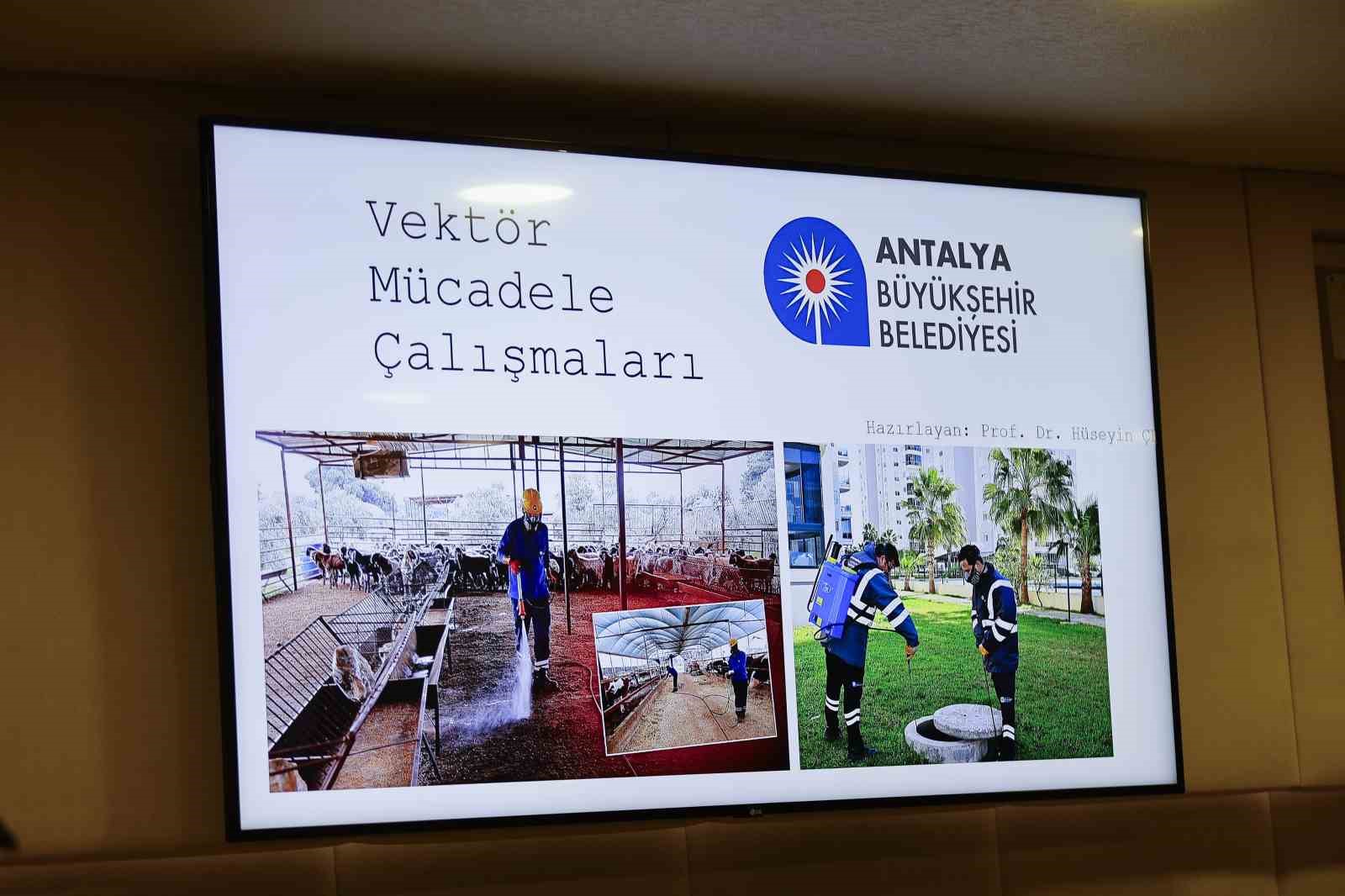 Prof. Dr. Hüseyin Çetin: "Antalya Büyükşehir Belediyesi’nin sorumluluk alanında Batı Nil ateşi, sıtma, KKKA hastalığı gibi hiçbir hastalık vakası yoktur" 7 prof dr huseyin cetin antalya buyuksehir belediyesinin sorumluluk alaninda bati nil atesi sitma kkka zBHQuhpO