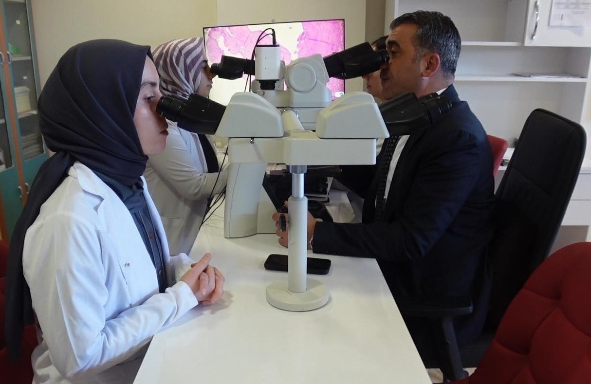 prof dr ozercan her doku ornegi kanser anlamina gelmiyor 3 NqkrX6Ks
