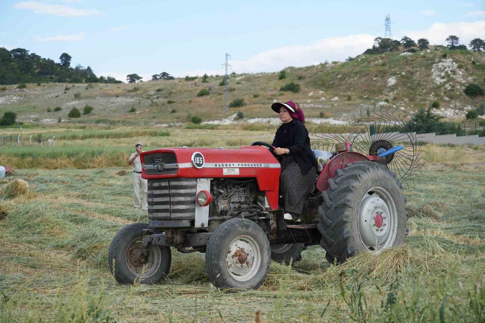 resim tutkusu engel tanimadi sacindan firca komurden boya yapti 2 QI7XB2ud
