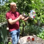 rize-cayi-icen-gurme-kargaya-ozel-dogum-gunu-partisi-rVKS3agP.jpg