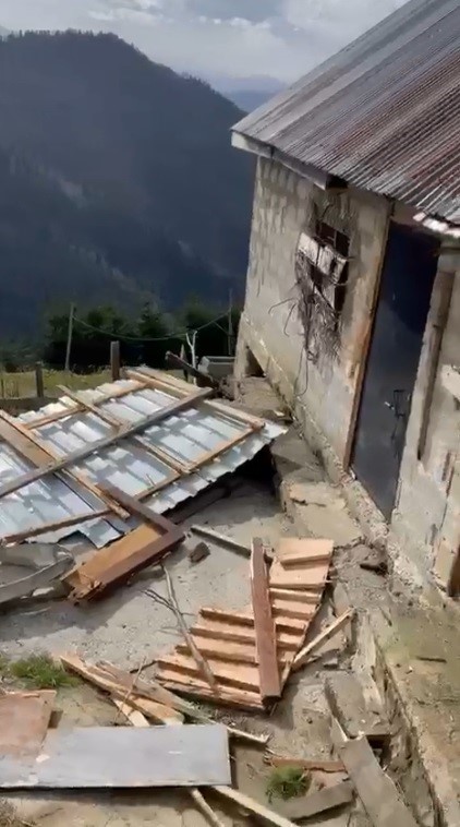 rize yaylalarinda ayi panigi 20 ev talan edildi 1 5Umu24yk
