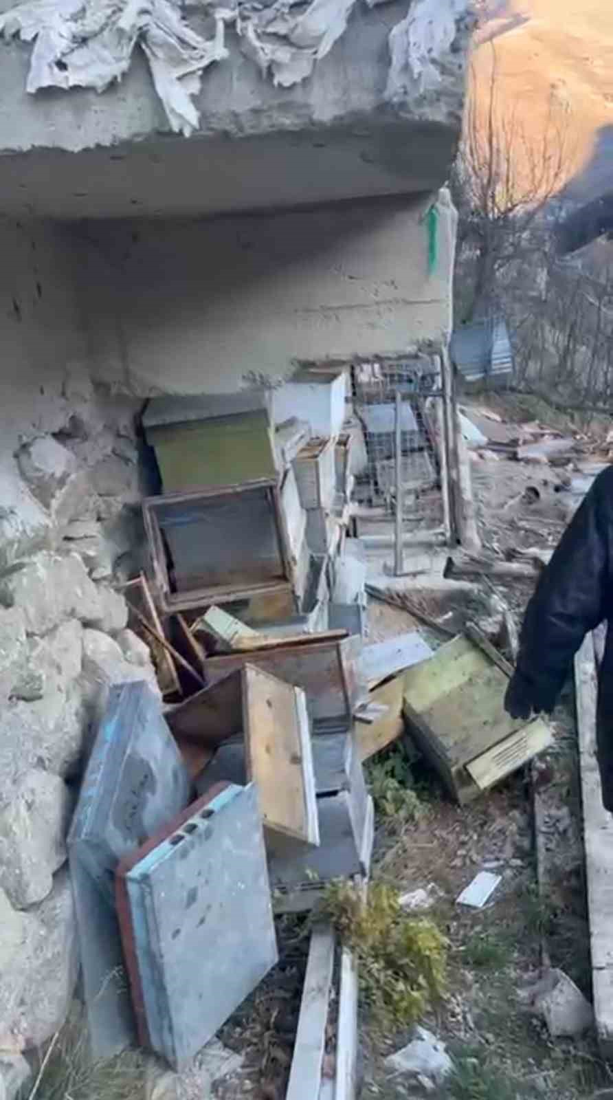 rizede ayi 30 anzer bali petegini telef etti anzer bali ureticisi yasadigi soruna isyan
