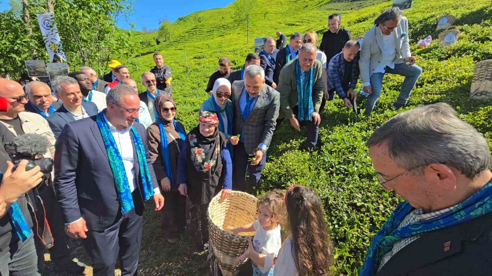 rizede cay sezonu karsilama programi duzenlendi 2 R8n8rTXJ