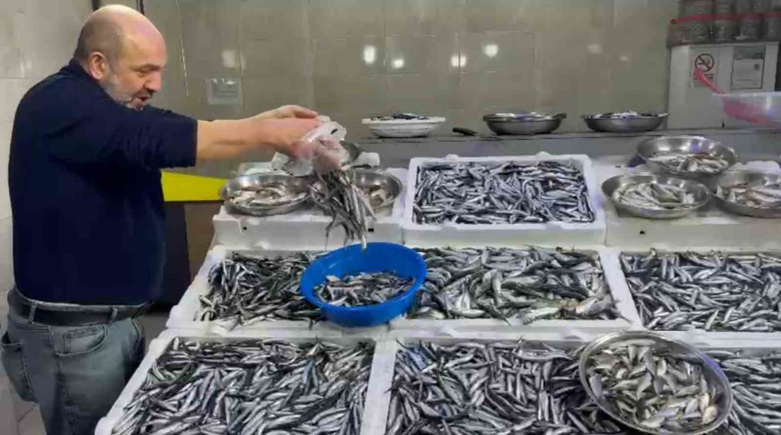 rizede hamsinin fiyati sevenlerinin yuzunu gulduruyor 3 HPUKlGsf