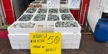 rizede-hamsinin-fiyati-sevenlerinin-yuzunu-gulduruyor-Uh1jHZBp.jpg