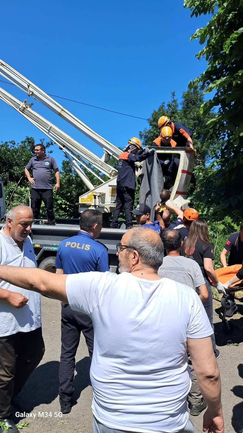 rizede ihlamur toplarken elektrik akimina kapilan vatandas hayatini kaybetti 0 vyqJDegF