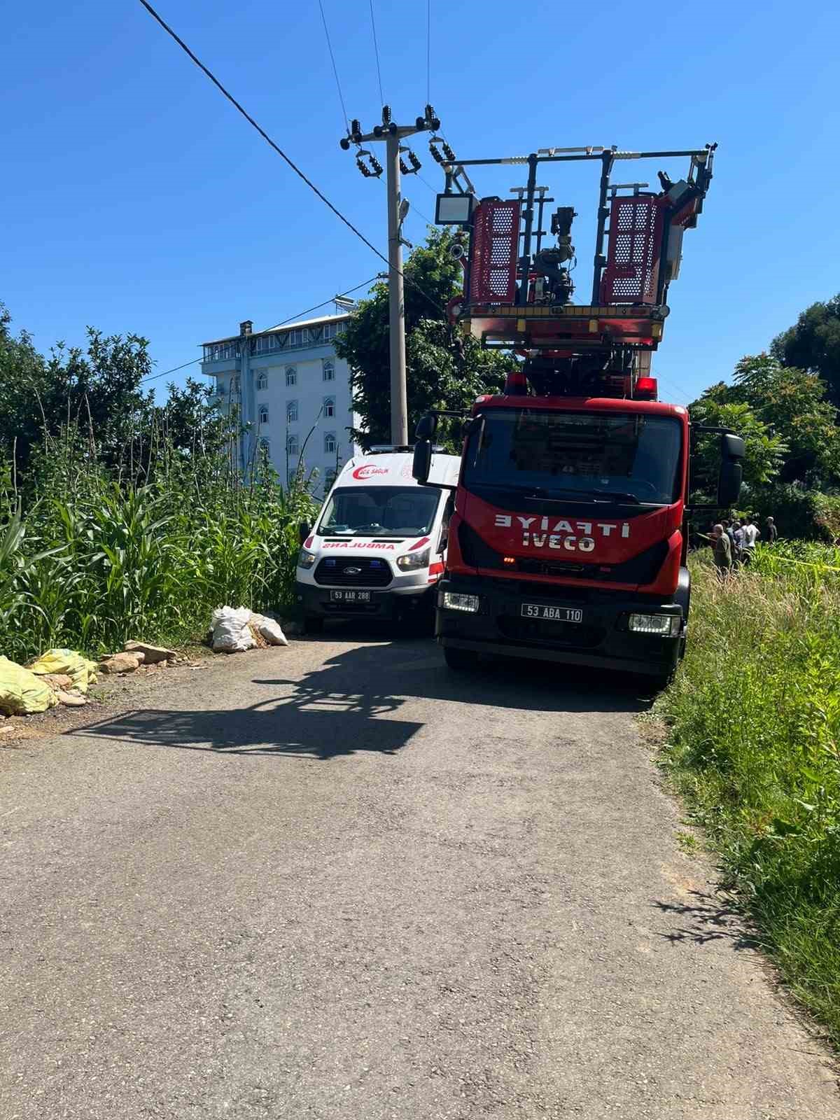 rizede ihlamur toplarken elektrik akimina kapilan vatandas hayatini kaybetti 1