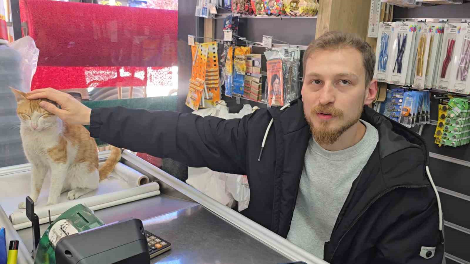 rizede kedi ile esnafin dostlugu 5 7gtTMS7Z