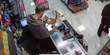 rizede-kedi-ile-esnafin-dostlugu-fdtNqhLP.jpg
