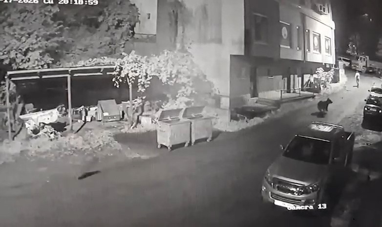 Rize’de vatandaşı ayı kovaladı, o anlar kameraya yansıdı 4 rizede vatandasi ayi kovaladi o anlar kameraya yansidi 0 cmMt1DP2