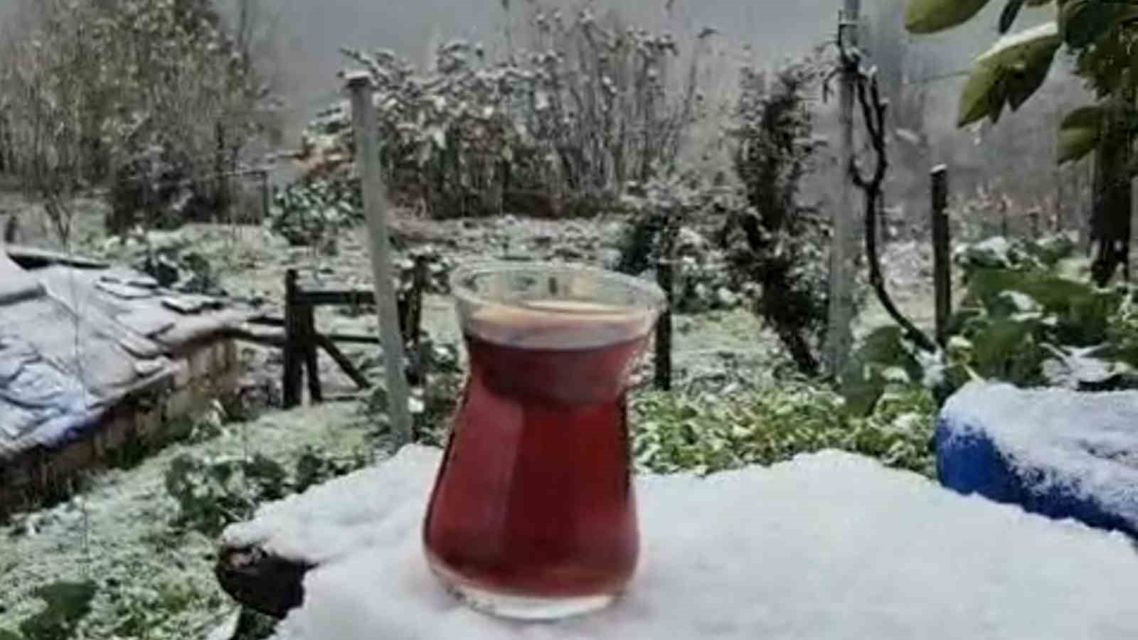 rizede yuksek tepeler beyaza burundu 2 It55dun2