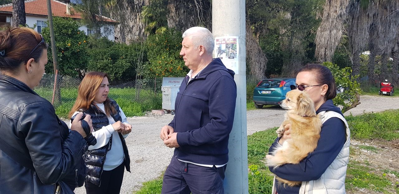 Rus sahipleri, kaybolan köpeklerini sokak sokak arıyor: Canlı bulana 100 bin, ölü bulana 10 bin ödül 10 rus sahipleri kaybolan kopeklerini sokak sokak ariyor canli bulana 100 bin olu bulana 10 n5WFu1HH