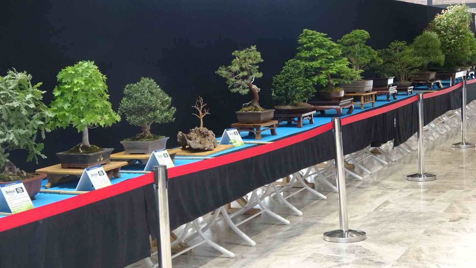 sabrini da omrunu de bu sanata verdiler degeri 1 milyona kadar cikiyor 5