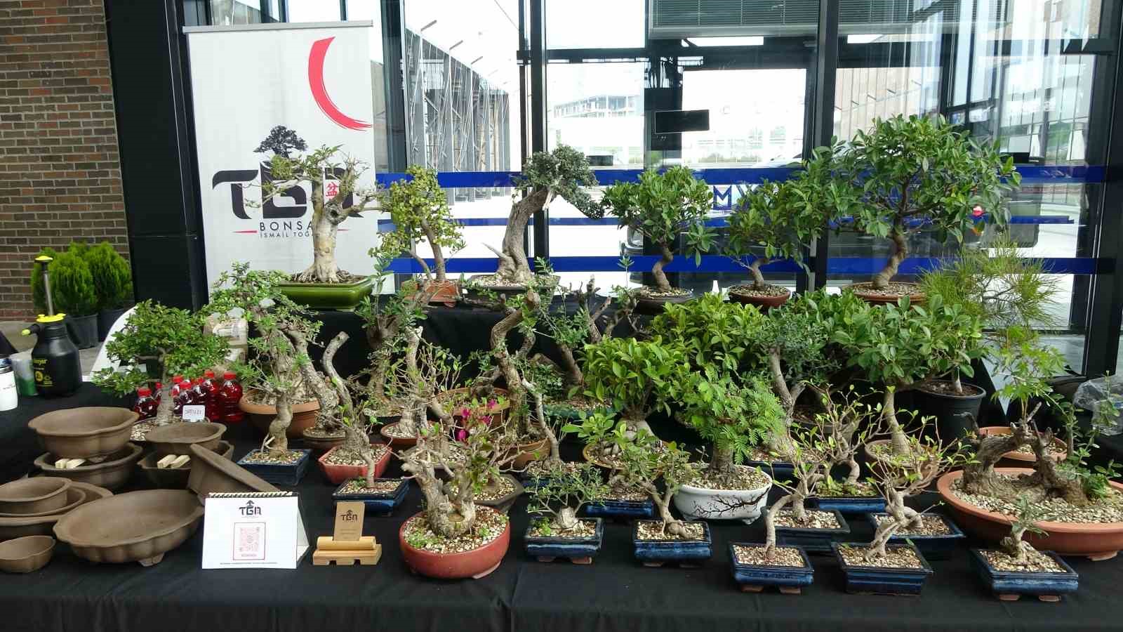 sabrini da omrunu de bu sanata verdiler degeri 1 milyona kadar cikiyor 7 Tw8njUGD