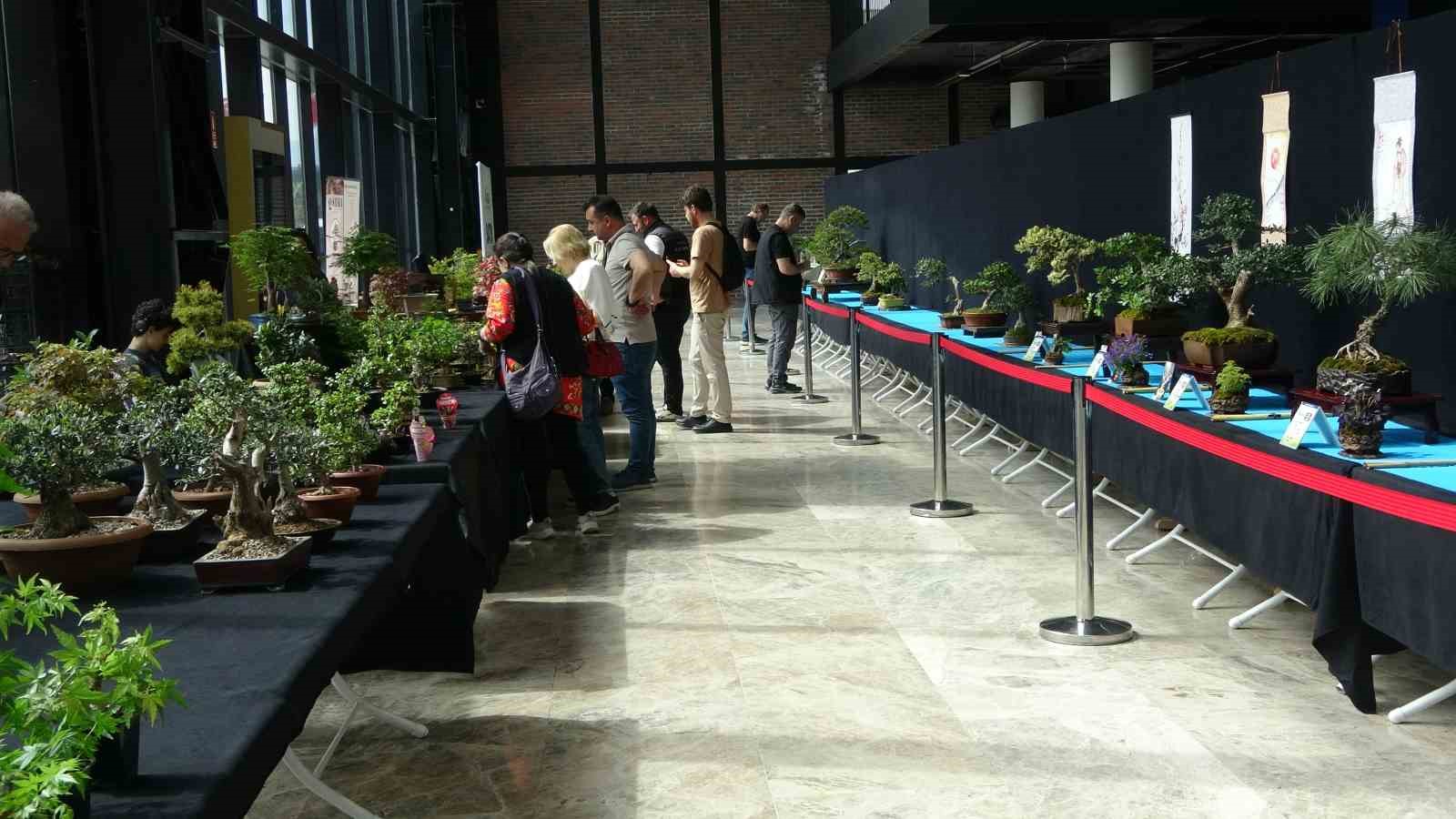sabrini da omrunu de bu sanata verdiler degeri 1 milyona kadar cikiyor 9 w7H1QLDk