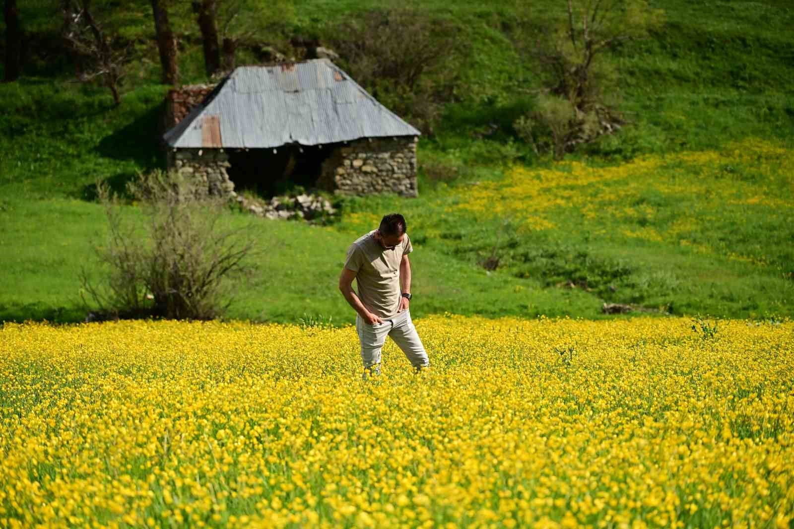 sadece 20 gun suruyor gumushanedeki o vadi sariya boyandi 2