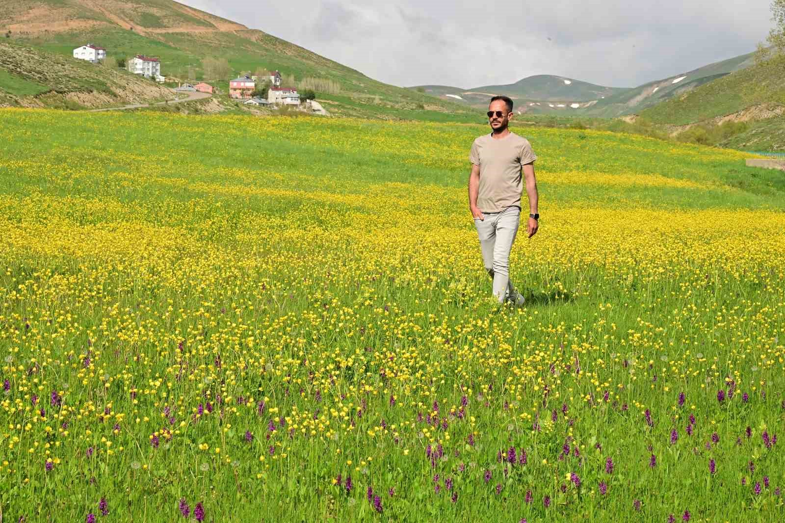 sadece 20 gun suruyor gumushanedeki o vadi sariya boyandi 4 2OPuTHsa